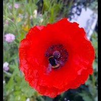 Bitunix intern (@bitunixi27558) 's Twitter Profile