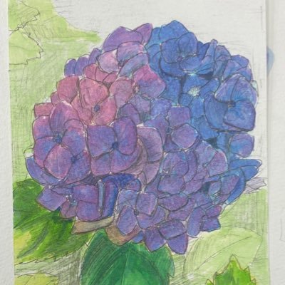 e2E6W17b06a8AJY's profile picture. 