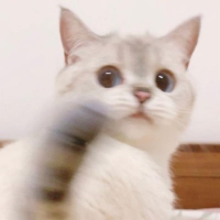 🥤 (@bn_0100) 's Twitter Profile Photo 🥤 (@bn_0100) 's Twitter Profile Photo
