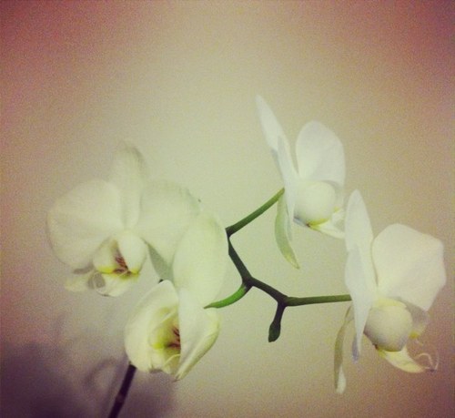 mei284's profile picture. 🙋🦄🍍🛫🌴🐢