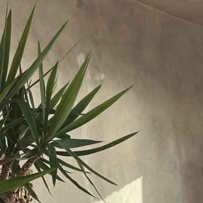 leoncio_1004's profile picture. 24/04/1982