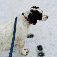 Jacqui Matthews (@jacquibmatthews) 's Twitter Profile