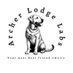 Archer Lodge Labradors (@archerlodgelabs) Twitter profile photo Archer Lodge Labradors (@archerlodgelabs) Twitter profile photo