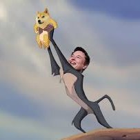 DigitlDreamer_'s profile picture. Tech enthusiast | Coffee lover | Dreaming big and coding bigger | Exploring the digital world one tweet at a time.