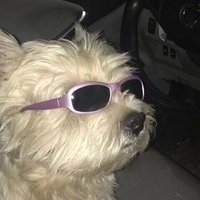 ener (@vicdoro) Twitter profile photo