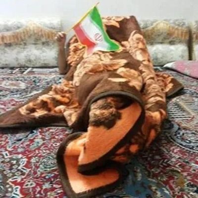با نام و یاد کوروش بزرگ
به ابهت رضاشاه عزیز
به دلسوزی پدر مهربان ایران محمدرضا پهلوی
و به خستگی ناپذیری اعلیحضرت رضا پهلوی
برای آزادی میهن🕊
#همکاری_ملی