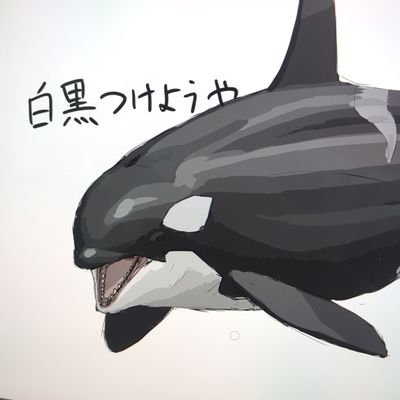 ddoxxobb's profile picture. 