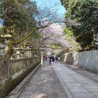 佑翔 (@674465sy) 's Twitter Profile Photo