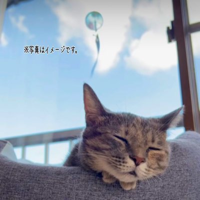 demekin62893010's profile picture. 暗号通貨市場もスポーツのようにスピード感が求められる