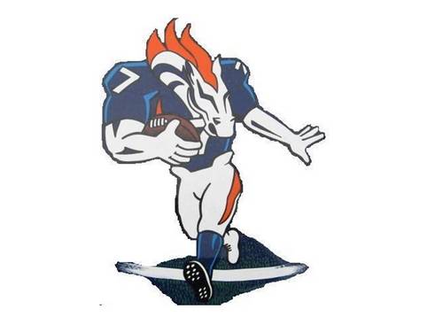 The Broncos are a youth Football & Cheer Program, ages 5-14; part of the Tucson Youth & Spirit Federation, an affiliation of American Youth Football.