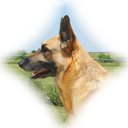 Mae McKee - @mae_mckee - Twitter