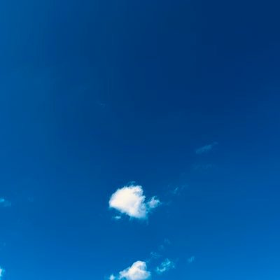 XinXiao61980's profile picture. 