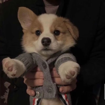 CoreyE40580's profile picture. 