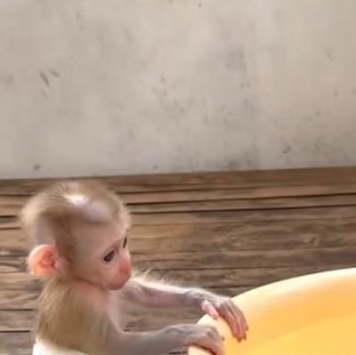 chibe1210's profile picture. 