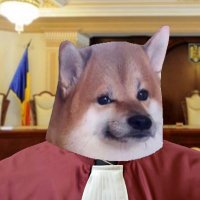 Arch Judgenko (@arch_judge) 's Twitter Profile
