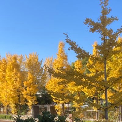 Sh2525unabc's profile picture. CPA通信生 R7I 62.4%❌→ R7Ⅱ 72.4%⭕️   R7論文⭕️