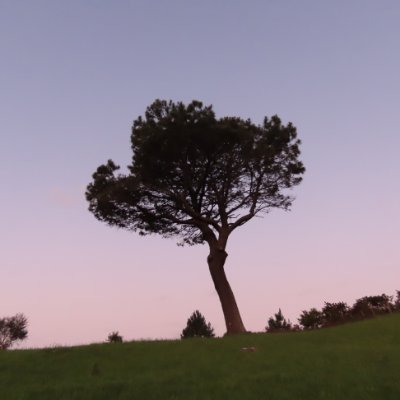 Doit Profile