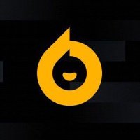 Cryptokong | Lingo | CLONE 🟠 NFTARMY (@cnftarmy13646) 's Twitter Profile