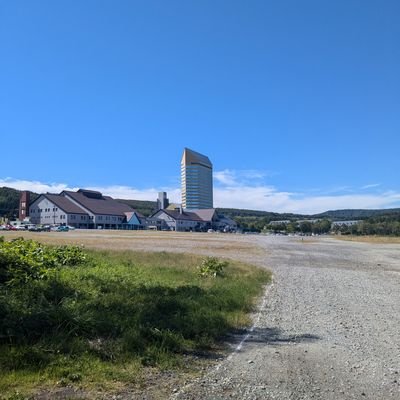 ampleline's profile picture. 