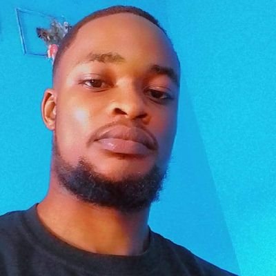 Informaticien/Développeur des Logiciels/Community Manager.