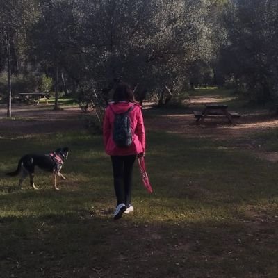 GuerolaRosa's profile picture. 🔻