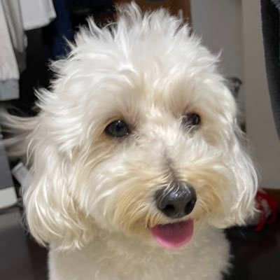 yuucha_7's profile picture. 