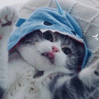 重症 (@misumi_0n) 's Twitter Profile Photo 重症 (@misumi_0n) 's Twitter Profile Photo
