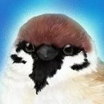 marumarusuzume Profile Picture
