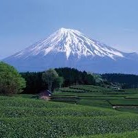 人生はとても美しい、私たちも頑張ろうではありませんか!