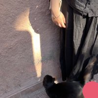 attam pattam ullasam (@senthoorapoove) 's Twitter Profile Photo attam pattam ullasam (@senthoorapoove) 's Twitter Profile Photo