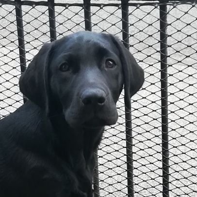 WilcockJason's profile picture. 