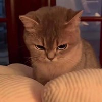 Raks (@osboifps) 's Twitter Profile