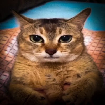 mmdly12933's profile picture. 