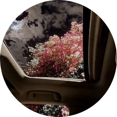 Ebtehal_988's profile picture. 