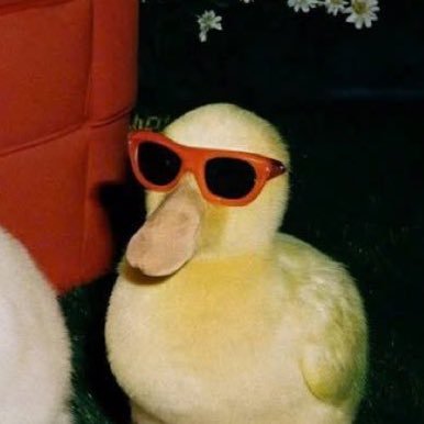 Gnarcoticos's profile picture. 