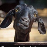 Tim M (@tlmarriott1) 's Twitter Profile
