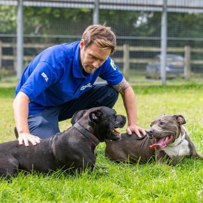 Sometimes on your 📺. RSPCA Inspector 16 years & counting. Rescue animals. Don’t give up easily. Dislike bullies. Tranmere Rovers fan. All Own Views