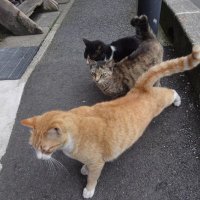 やもし (@vgqjwg1kfzec0re) 's Twitter Profile Photo やもし (@vgqjwg1kfzec0re) 's Twitter Profile Photo