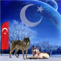 Macit davutoğlu (@macitdavut95) 's Twitter Profile
