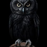 Mainjoeπ©πͺπ (@_mainjoe_x1) 's Twitter Profile Photo Mainjoeπ©πͺπ (@_mainjoe_x1) 's Twitter Profile Photo