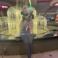 The Hobby Hive (@raishobbyhive) 's Twitter Profile