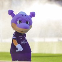 SHIN⚽️🐬📷 (@shinfrontale) 's Twitter Profile Photo SHIN⚽️🐬📷 (@shinfrontale) 's Twitter Profile Photo