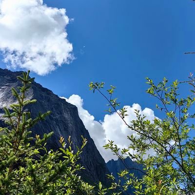 puhaiyang's profile picture. 