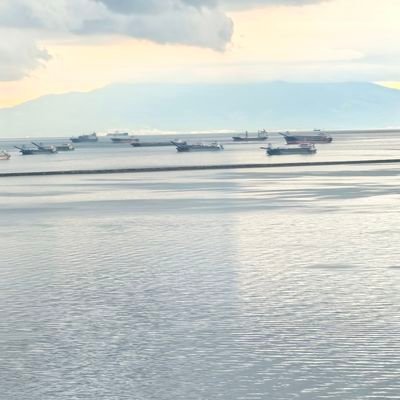 evove's profile picture. 简介不了