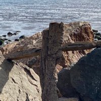Georgie (@geoge141544444) 's Twitter Profile