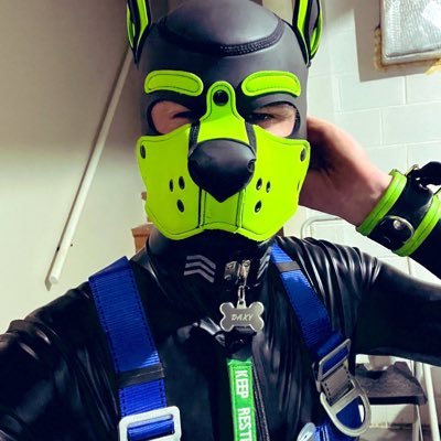 pup_chad's profile picture. Single || NSFW, super friendly || exploring the pup world || Down for meetups anytime|| PM's welcome by all!