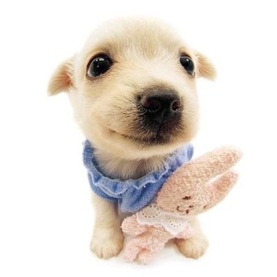 똑녀さんのプロフィール画像