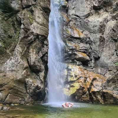 Labprincess86's profile picture. 