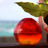 i_ykk's profile image