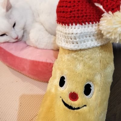 picoalpha's profile picture. ダウン症の息子TAM白血球10万超→1歳から白血病で6ヶ月入院　寛解　療育手帳B　無言フォロー失礼します　#21トリソミー子　はキュートでかわいい愛されっ子
貧乏ライター　第三子昨年産まれました